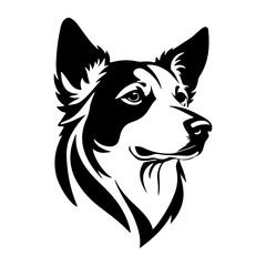 Elegant Black and White Portrait of a Border Collie Dog Head