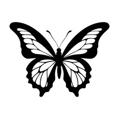 Elegant Black and White Butterfly Silhouette with Intricate Wing Patterns and Details