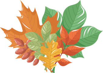 autumn leaves on white background