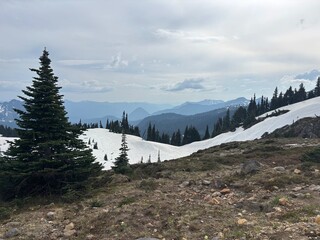 snow covered mountains