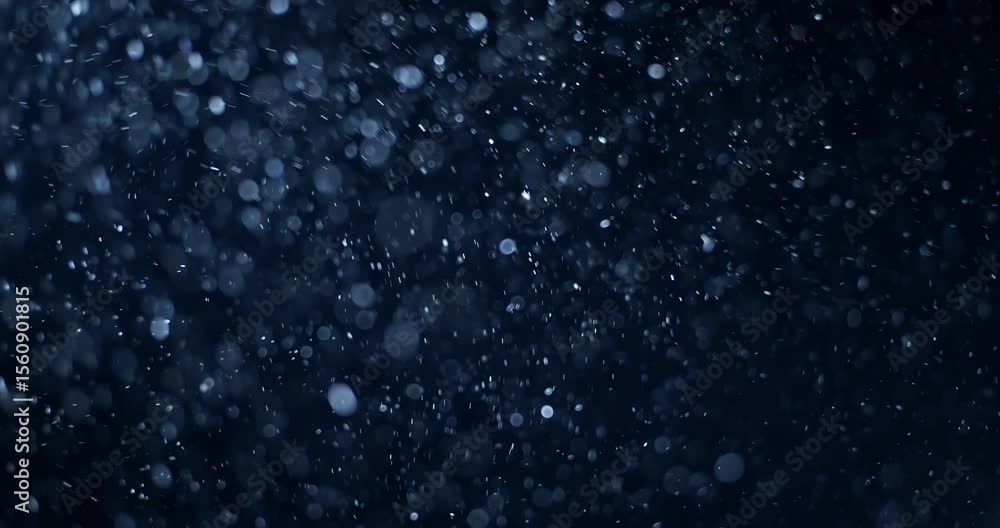 Wall mural natural organic dust particles floating on black background. dynamic dust particles randomly float i