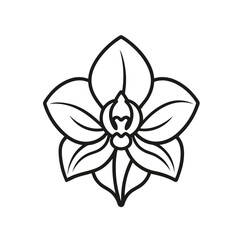 orchid-outline-vector-icon-whith-white-background.eps