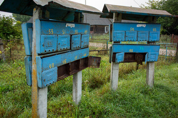 Weathered blue communal mailboxes stand in overgrown grass, with a rustic building in the background, ideal for depicting rural communication, vintage community, or forgotten infrastructure