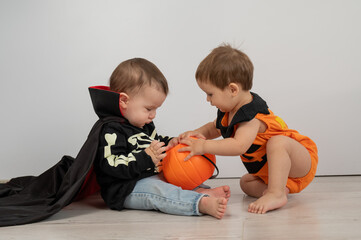 Cute kids celebrate halloween on white background. Two little boys in dracula costume and pumpkin. 