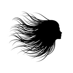 Minimalist Abstract Flowing Hair Illustration