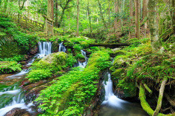 初夏の瓜割の滝　福井県三方上中郡　Uriwari Falls in early summer. Fukui Pref,...