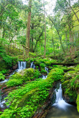 初夏の瓜割の滝　福井県三方上中郡　Uriwari Falls in early summer. Fukui Pref,...