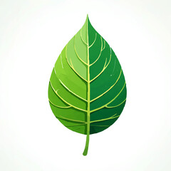 Obraz premium Vivid green leaf split in half showing healthy growth