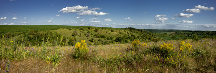 Virgin land in the black soil zone of Ukraine. Recreational zone in a wide format. Tourist and recreational zone.