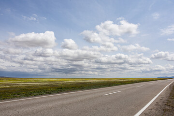 Spring steppe landscape with road in Kazakhstan