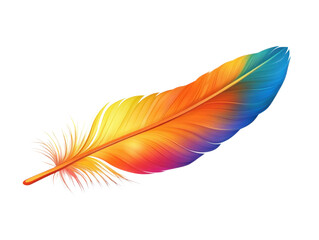 Vibrant Rainbow Feather with Graduated Colors Isolated on a White Background PNG