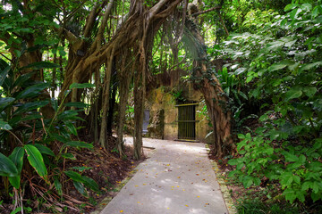 沖縄戦跡 第32軍司令部壕の風景