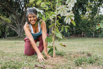 Hispanic grey haired woman planting a tree in a park