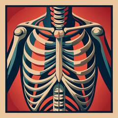 Detailed representation of the human skeleton showcasing bones and ribs with bold colors Generative AI