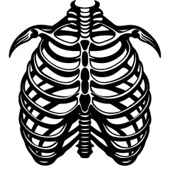 Detailed anatomical illustration of a human ribcage showcasing its structure and alignment for educational purposes Generative AI