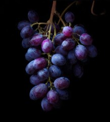 bunch of grapes