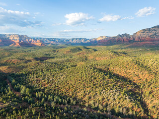 sedona landscape with lush green forest and red rocks