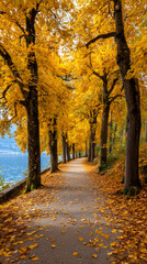 Obraz premium Beautiful autumn path with golden trees alongside a lake