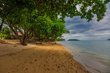Trees on Kai Bae Beach under a gloomy dramatic sky