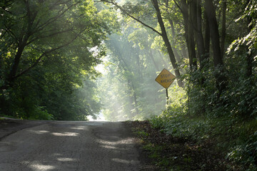 A stop ahead sign on a narrow road with sunbeams between the trees. 