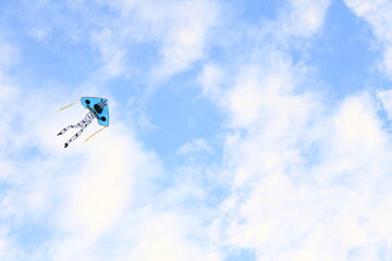 Colorful kite in motion