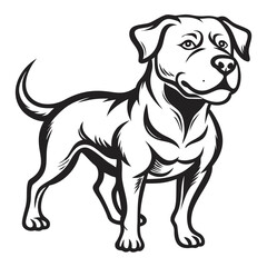 Fototapeta premium Isolated studio portrait of a cute black Labrador Retriever puppy and a black and white adult dog