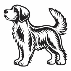 Fototapeta premium A cute purebred Bernese Mountain Dog puppy vector illustration, black and white, sitting isolated on a white background