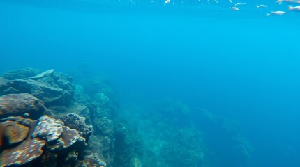 Fototapeta premium Underwater Scene: Exploring the depths of the ocean, the underwater image reveals a captivating view of aquatic life and the fascinating coral reef.