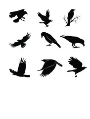 Soaring silhouettes, a flight of fancy