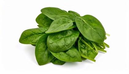 Fototapeta premium Fresh spinach leaves pile, vibrant green, isolated on white background