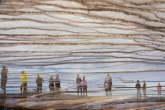 reflection of the people