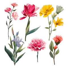 Hand-drawn floral vector illustration set on white background