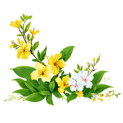 Colorful vector illustration of blooming flowers with green leaves isolated on white background