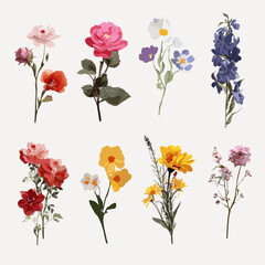 Colorful floral vector set with individual flowers in PNG and PSD formats for design projects