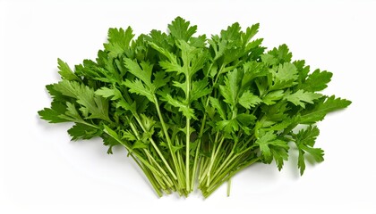 Fototapeta premium Fresh garland chrysanthemum leaves, vibrant green, arranged on a clean white background