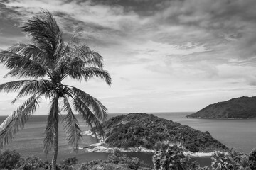 Vacation in Thailand. Sea, beach, tropical fruits and drinks