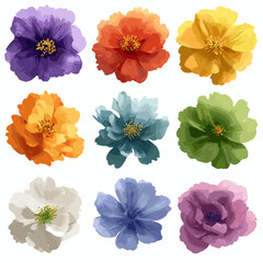 Colorful vector illustration of nine different flowers isolated on white background