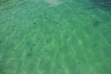 Sea of  Islands  Krabi  KohHong 