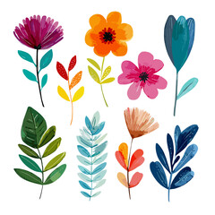 Colorful floral and leaf vector illustration set isolated on white background