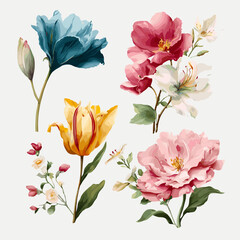 Colorful floral vector set on white background, vibrant flowers in PSD and PNG formats for design projects