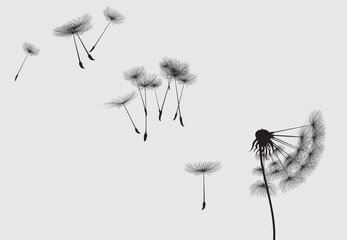 Wild flower dandelion in a vector style isolated. Vector flower for background, dandelion flying wall decal children's room 