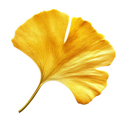 Golden ginkgo biloba leaf isolated on white background ai png 