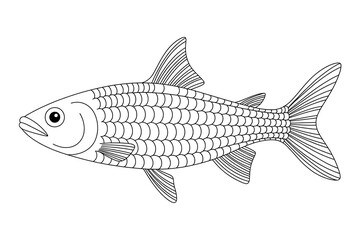 Obraz premium Silhouette of a fish, detailed scales and fins. 