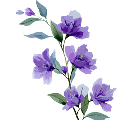 Purple floral vector illustration with leaves and stems isolated on white background