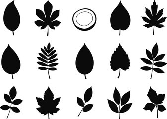 Fototapeta premium Collection of black leaf silhouettes leaves nature