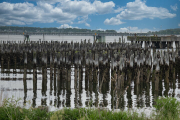 Old Pilings in Harbor of Portland Maine