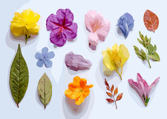Colorful floral vector illustration with vibrant flowers and green leaves on white background