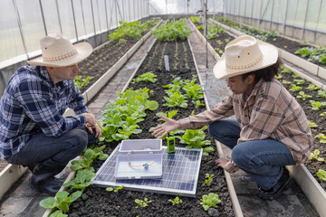 Farmer man inspecting a solar panel device for greenhouse for cultivation of vegetable food. Woman...