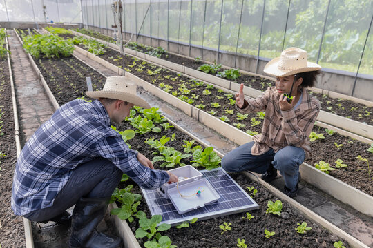 Farmer man inspecting a solar panel device for greenhouse for cultivation of vegetable food. Woman farmer and worker talking to choose high efficiency photovoltaic panel for renewable energy.