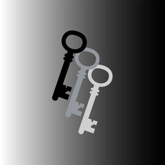 Two keys illustration. Security access symbol. Metallic object pair. Protection solution Vector.